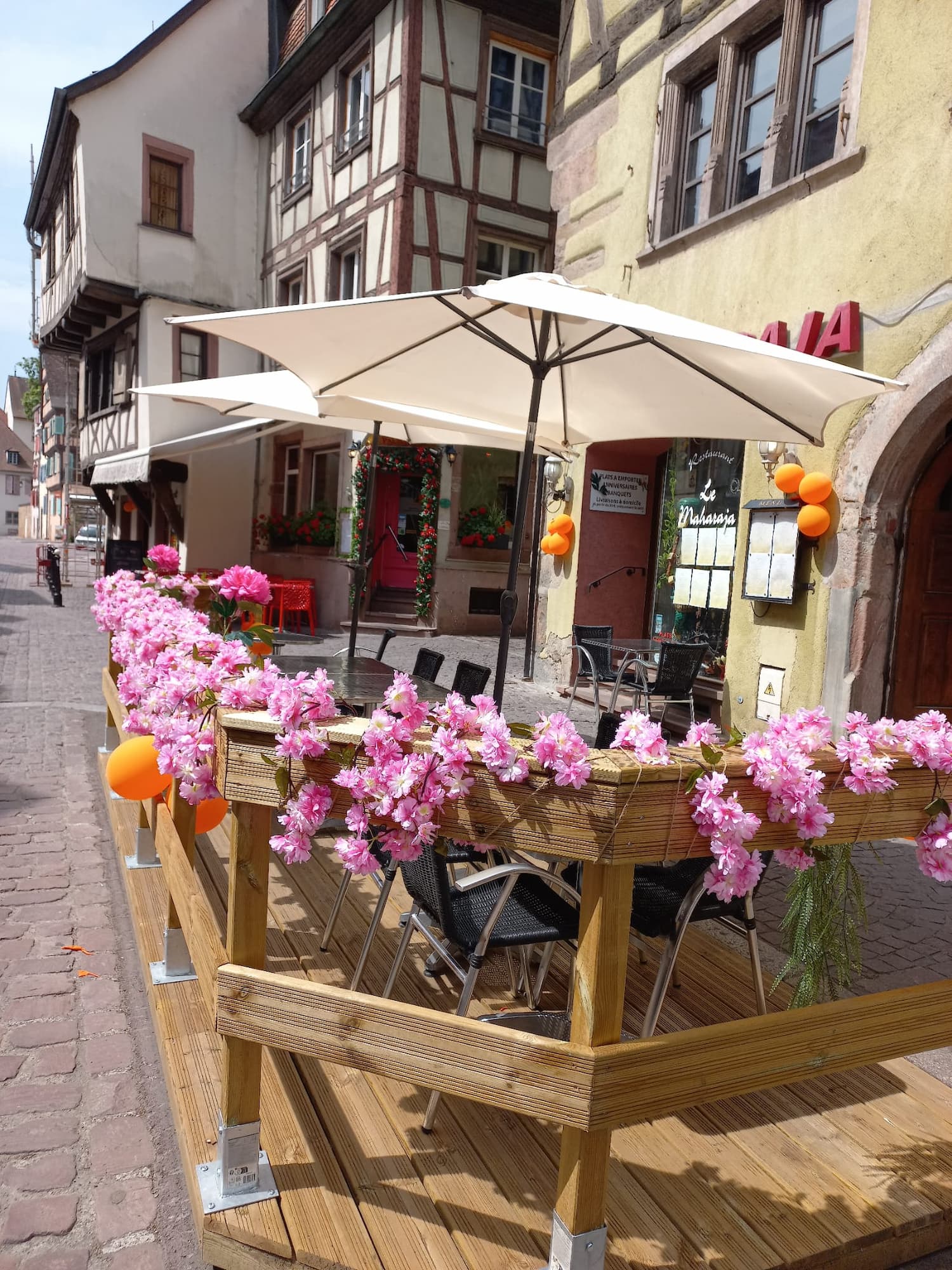 RESTAURANT_INDIEN_LE_MAHARAJA17 | Le Maharaja En savoir plus sur le restaurant indien Le Maharaja à Colmar près de Sélestat Rixheim 2